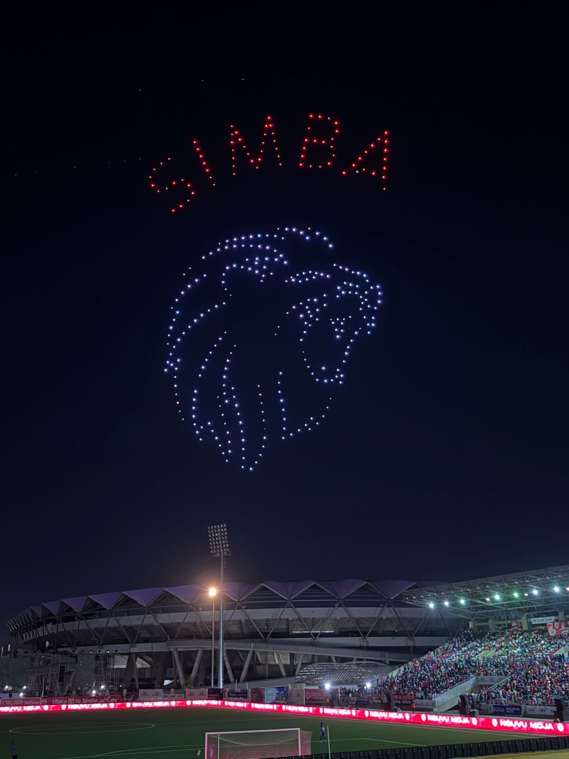 Simba Day — Stadium finale
